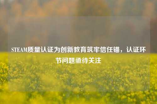STEAM质量认证为创新教育筑牢信任锚，认证环节问题亟待关注