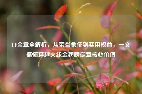 CF金章全解析,从荣誉象征到实用权益,一文搞懂穿越火线金翅膀徽章核心价值