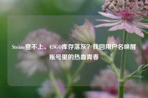 Steam登不上、CSGO库存落灰?找回用户名唤醒账号里的热血青春