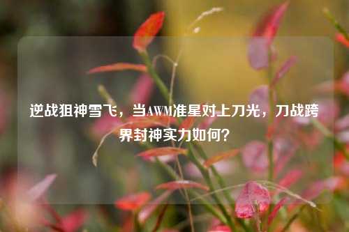 逆战狙神雪飞,当AWM准星对上刀光,刀战跨界封神实力如何?