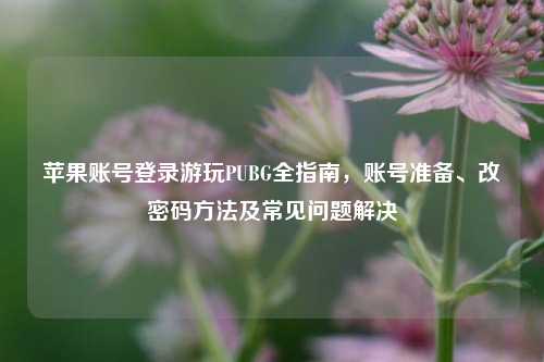 苹果账号登录游玩PUBG全指南，账号准备、改密码方法及常见问题解决