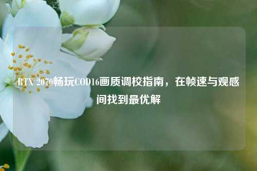 RTX 2070畅玩COD16画质调校指南，在帧速与观感间找到最优解