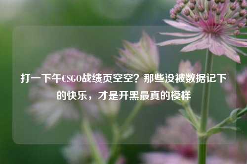打一下午CSGO战绩页空空?那些没被数据记下的快乐,才是开黑最真的模样