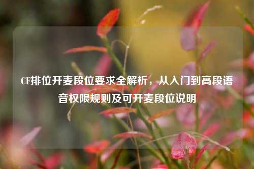 CF排位开麦段位要求全解析,从入门到高段语音权限规则及可开麦段位说明