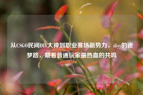 从CSGO民间DIY大神到职业赛场新势力,diyy的逐梦路,藏着普通玩家最热血的共鸣