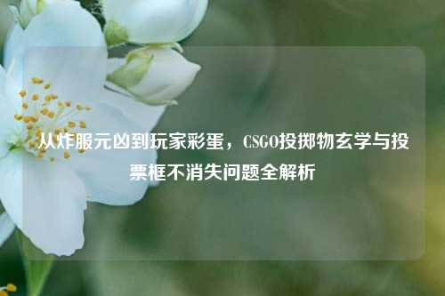 从炸服元凶到玩家彩蛋,CSGO投掷物玄学与投票框不消失问题全解析