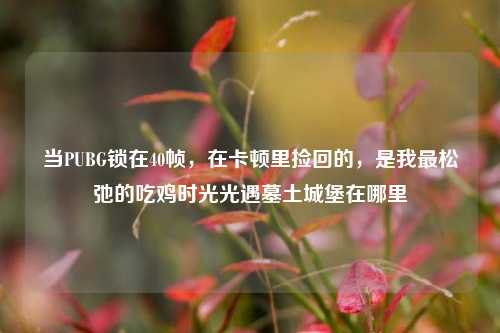 当PUBG锁在40帧,在卡顿里捡回的,是我最松弛的吃鸡时光光遇墓土城堡在哪里