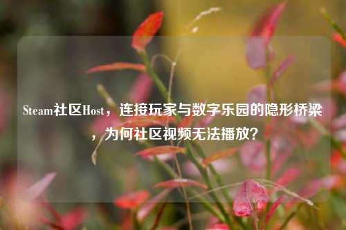 Steam社区Host,连接玩家与数字乐园的隐形桥梁,为何社区视频无法播放?