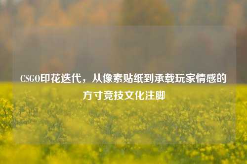 CSGO印花迭代,从像素贴纸到承载玩家情感的方寸竞技文化注脚