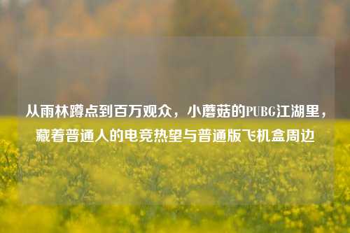 从雨林蹲点到百万观众，小蘑菇的PUBG江湖里，藏着普通人的电竞热望与普通版飞机盒周边