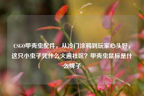 CSGO甲壳虫配件,从冷门涂鸦到玩家心头好,这只小虫子凭什么火遍社区?甲壳虫鼠标是什么牌子