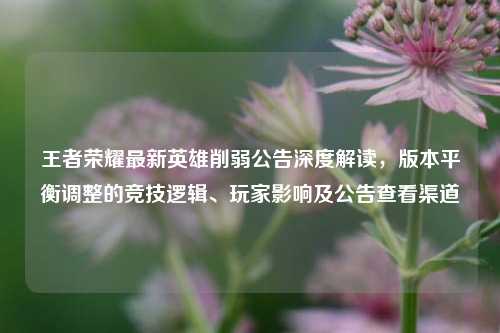 王者荣耀最新英雄削弱公告深度解读，版本平衡调整的竞技逻辑、玩家影响及公告查看渠道
