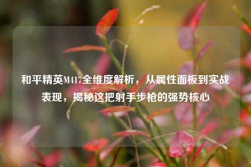 和平精英M417全维度解析,从属性面板到实战表现,揭秘这把射手步枪的强势核心