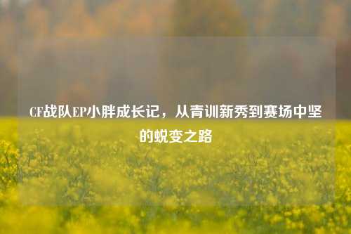 CF战队EP小胖成长记,从青训新秀到赛场中坚的蜕变之路