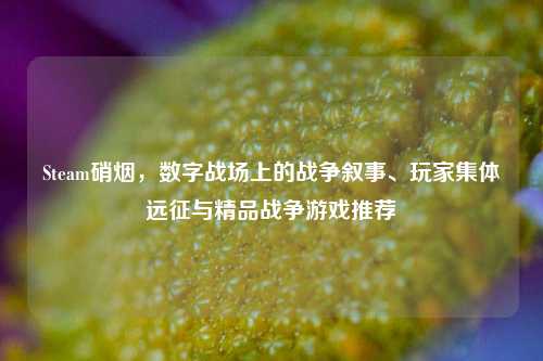 Steam硝烟，数字战场上的战争叙事、玩家集体远征与精品战争游戏推荐