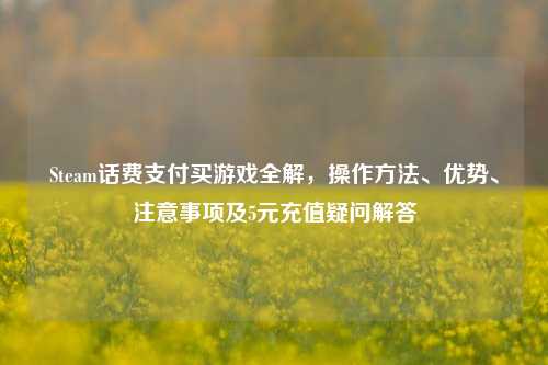 Steam话费支付买游戏全解,操作方法、优势、注意事项及5元充值疑问解答