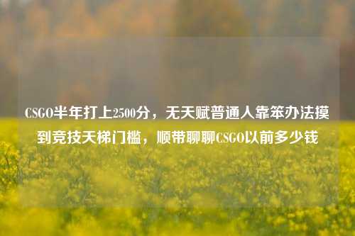 CSGO半年打上2500分,无天赋普通人靠笨办法摸到竞技天梯门槛,顺带聊聊CSGO以前多少钱