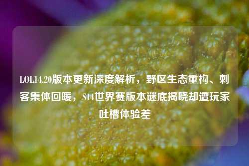 LOL14.20版本更新深度解析，野区生态重构、刺客集体回暖，S14世界赛版本谜底揭晓却遭玩家吐槽体验差