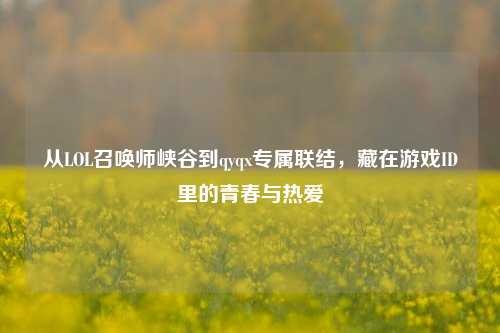 从LOL召唤师峡谷到qyqx专属联结，藏在游戏ID里的青春与热爱