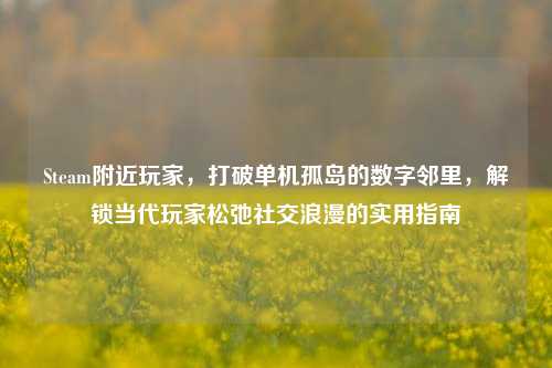 Steam附近玩家,打破单机孤岛的数字邻里,解锁当代玩家松弛社交浪漫的实用指南