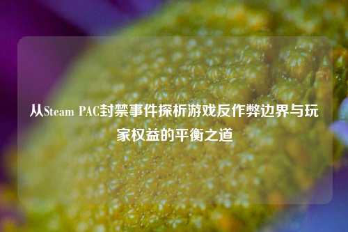 从Steam PAC封禁事件探析游戏反作弊边界与玩家权益的平衡之道