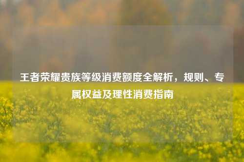 王者荣耀贵族等级消费额度全解析,规则、专属权益及理性消费指南