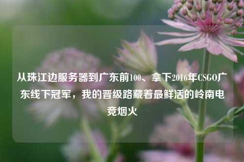 从珠江边服务器到广东前100、拿下2016年CSGO广东线下冠军,我的晋级路藏着最鲜活的岭南电竞烟火