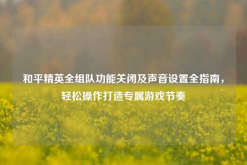 和平精英全组队功能关闭及声音设置全指南，轻松操作打造专属游戏节奏