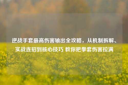 逆战手套最高伤害输出全攻略,从机制拆解、实战连招到核心技巧 教你把拳套伤害拉满