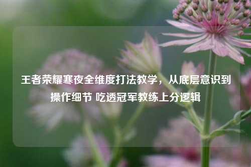 王者荣耀寒夜全维度打法教学,从底层意识到操作细节 吃透冠军教练上分逻辑