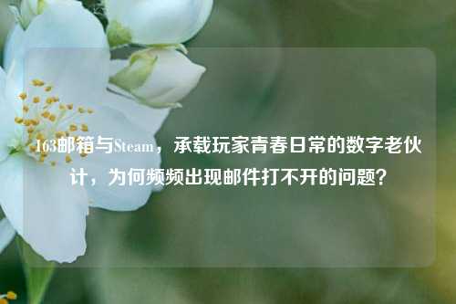 163邮箱与Steam，承载玩家青春日常的数字老伙计，为何频频出现邮件打不开的问题？