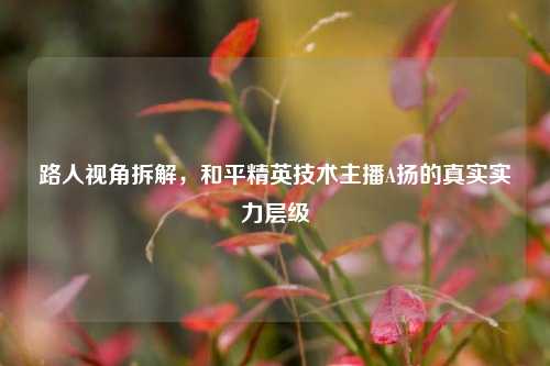 路人视角拆解,和平精英技术主播A扬的真实实力层级