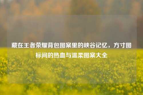 藏在王者荣耀背包图案里的峡谷记忆，方寸图标间的热血与温柔图案大全