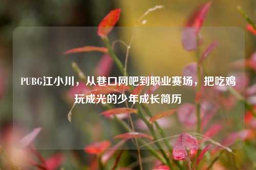 PUBG江小川,从巷口网吧到职业赛场,把吃鸡玩成光的少年成长简历