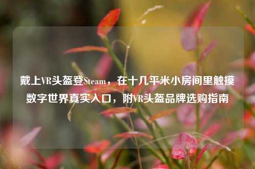 戴上VR头盔登Steam,在十几平米小房间里触摸数字世界真实入口,附VR头盔品牌选购指南