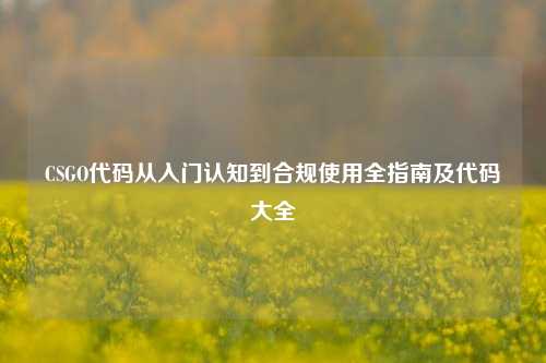 CSGO代码从入门认知到合规使用全指南及代码大全