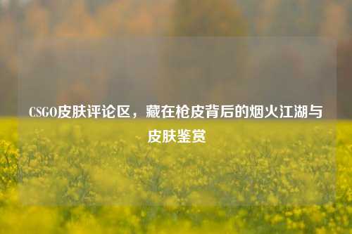 CSGO皮肤评论区，藏在枪皮背后的烟火江湖与皮肤鉴赏