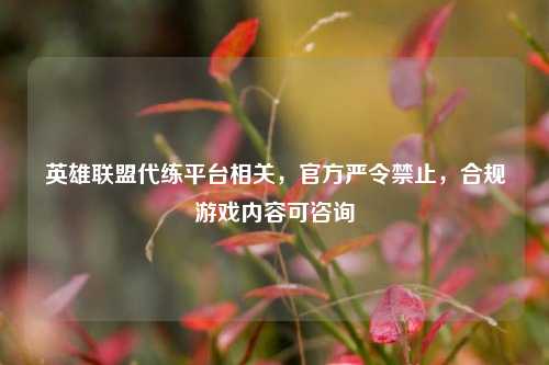 英雄联盟代练平台相关,官方严令禁止,合规游戏内容可咨询