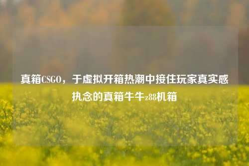 真箱CSGO,于虚拟开箱热潮中接住玩家真实感执念的真箱牛牛z88机箱