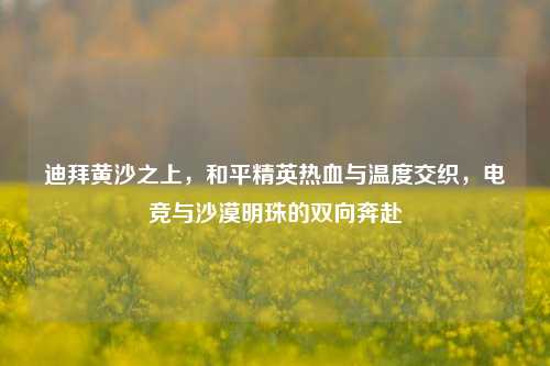 迪拜黄沙之上,和平精英热血与温度交织,电竞与沙漠明珠的双向奔赴