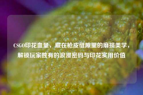 CSGO印花血量，藏在枪皮缝隙里的磨损美学，解锁玩家独有的浪漫密码与印花实用价值