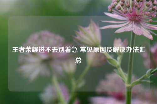 王者荣耀进不去别着急 常见原因及解决办法汇总