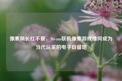 像素风长红不衰,Steam联机像素游戏缘何成为当代玩家的电子自留地