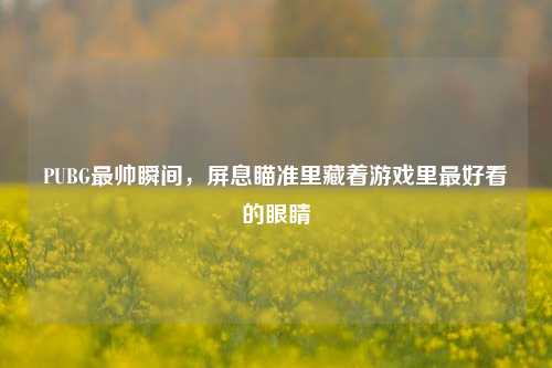 PUBG最帅瞬间,屏息瞄准里藏着游戏里最好看的眼睛