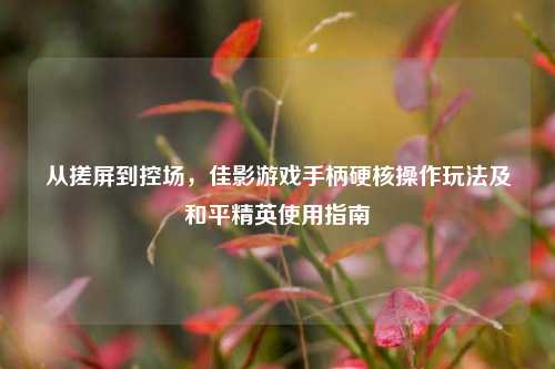 从搓屏到控场，佳影游戏手柄硬核操作玩法及和平精英使用指南