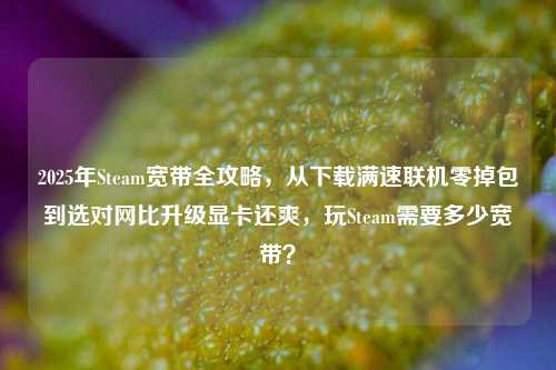 2025年Steam宽带全攻略，从下载满速联机零掉包到选对网比升级显卡还爽，玩Steam需要多少宽带？