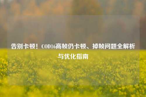 告别卡顿!COD16高帧仍卡顿、掉帧问题全解析与优化指南