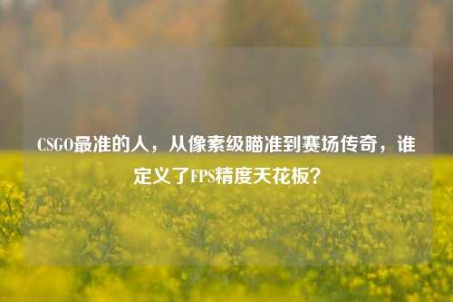 CSGO最准的人,从像素级瞄准到赛场传奇,谁定义了FPS精度天花板?