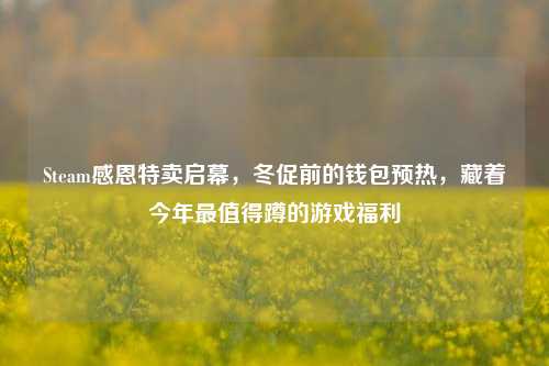 Steam感恩特卖启幕，冬促前的钱包预热，藏着今年最值得蹲的游戏福利