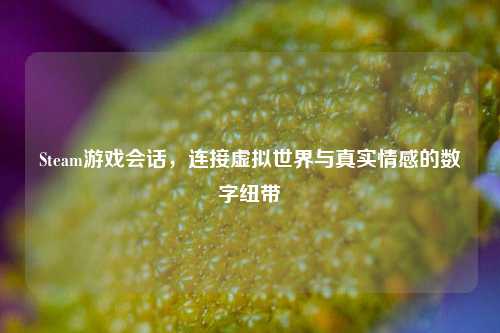 Steam游戏会话,连接虚拟世界与真实情感的数字纽带